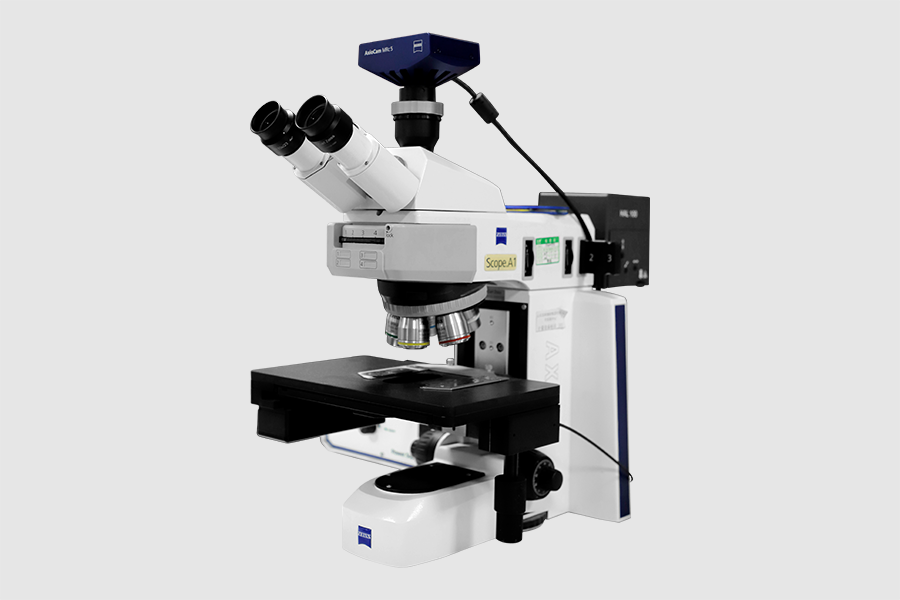 微信圖片_20241125142423